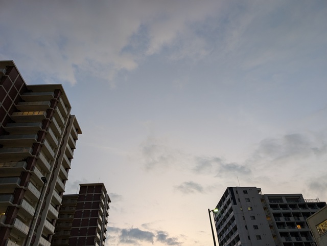 2月は「増やさない月」。（2026.02.05）